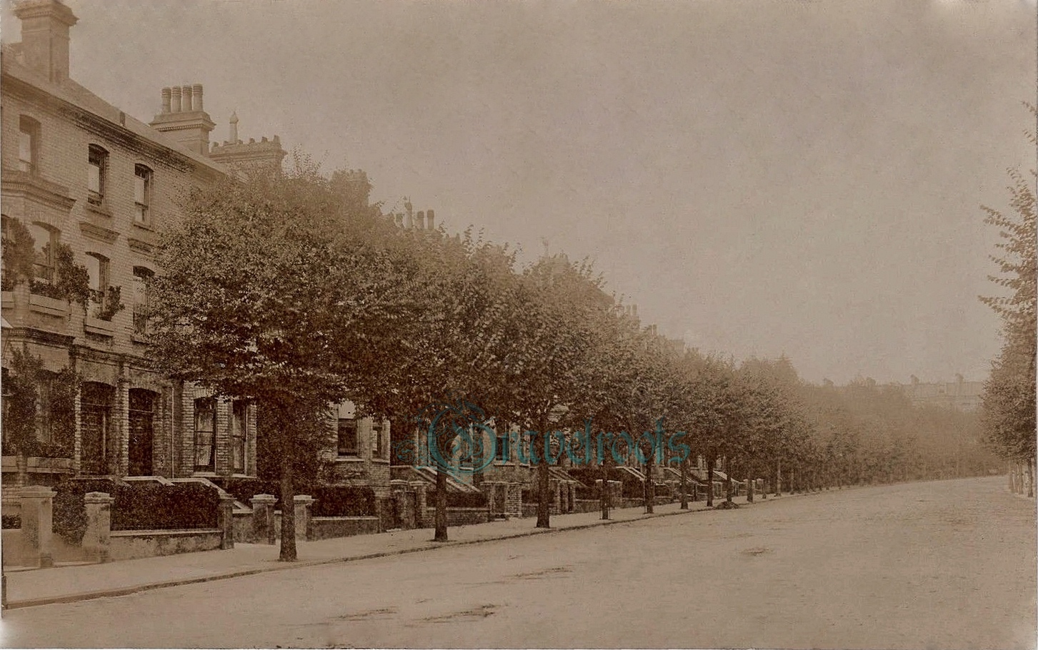 Old photo of Wilbury Road, Hove - click image to return