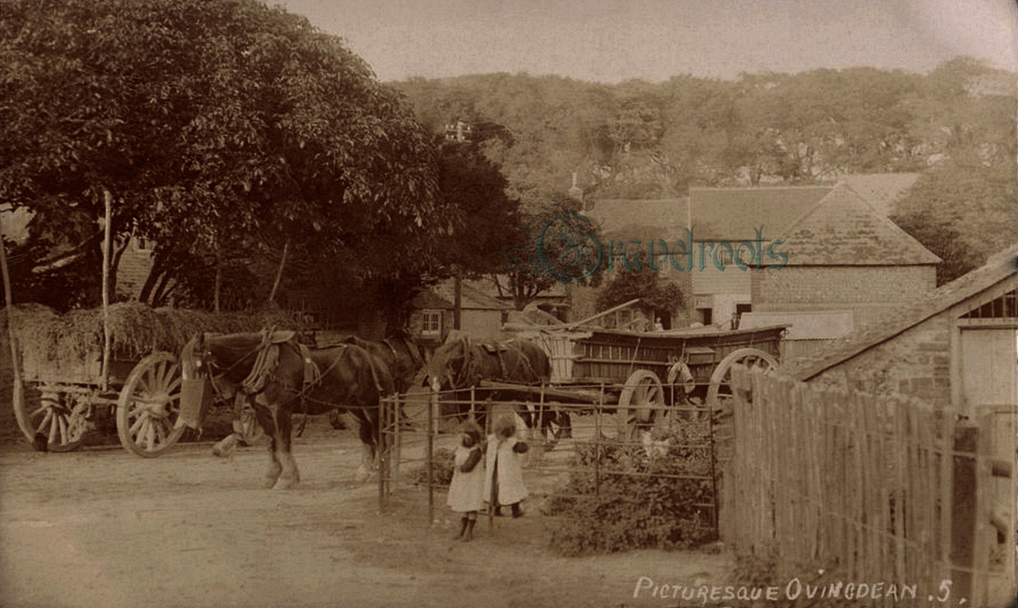 two little girls play on fence with draft horses and carts waiting in background at 
Old Ovingdean Nr. Brighton c1905 - click image to return