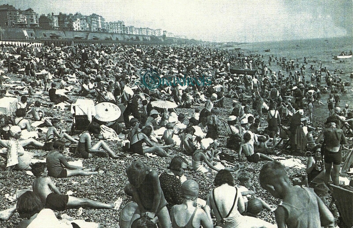 Old photo of Brighton & Hove -  - click image below to return