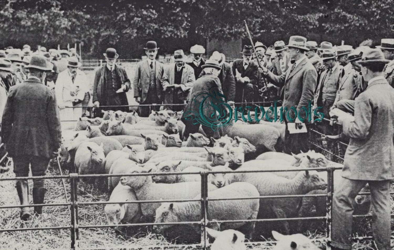  old photo of Chichester, Sussex - click image to return