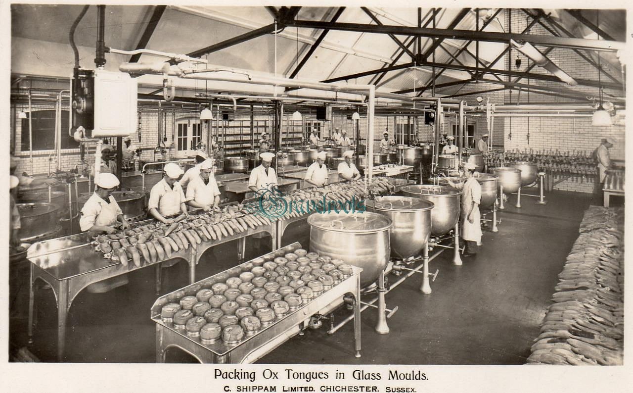 Old photos of Shippams, Chichester - click to return