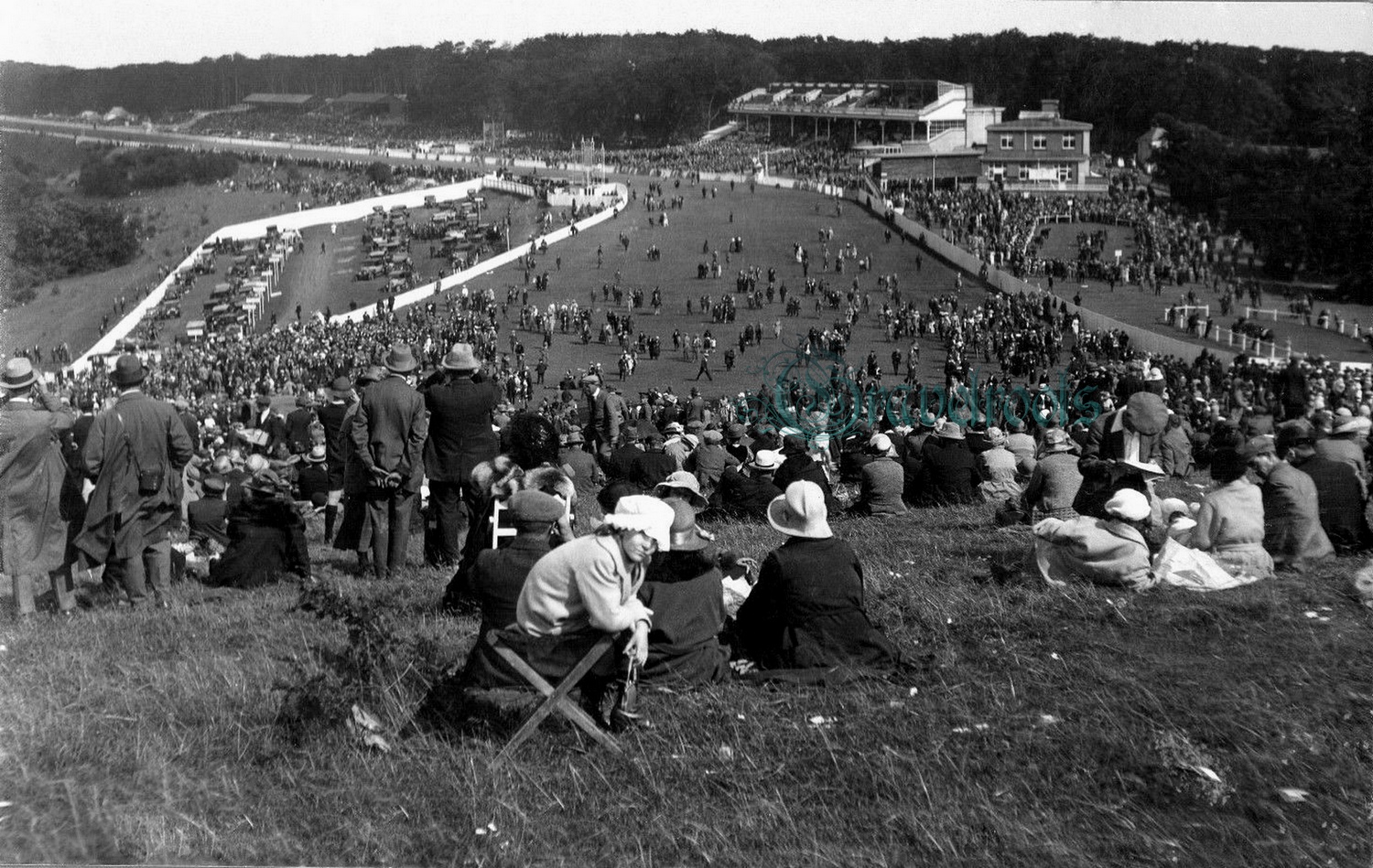  old photo of Goodwood Racecourse, Chichester, Sussex - click image to return