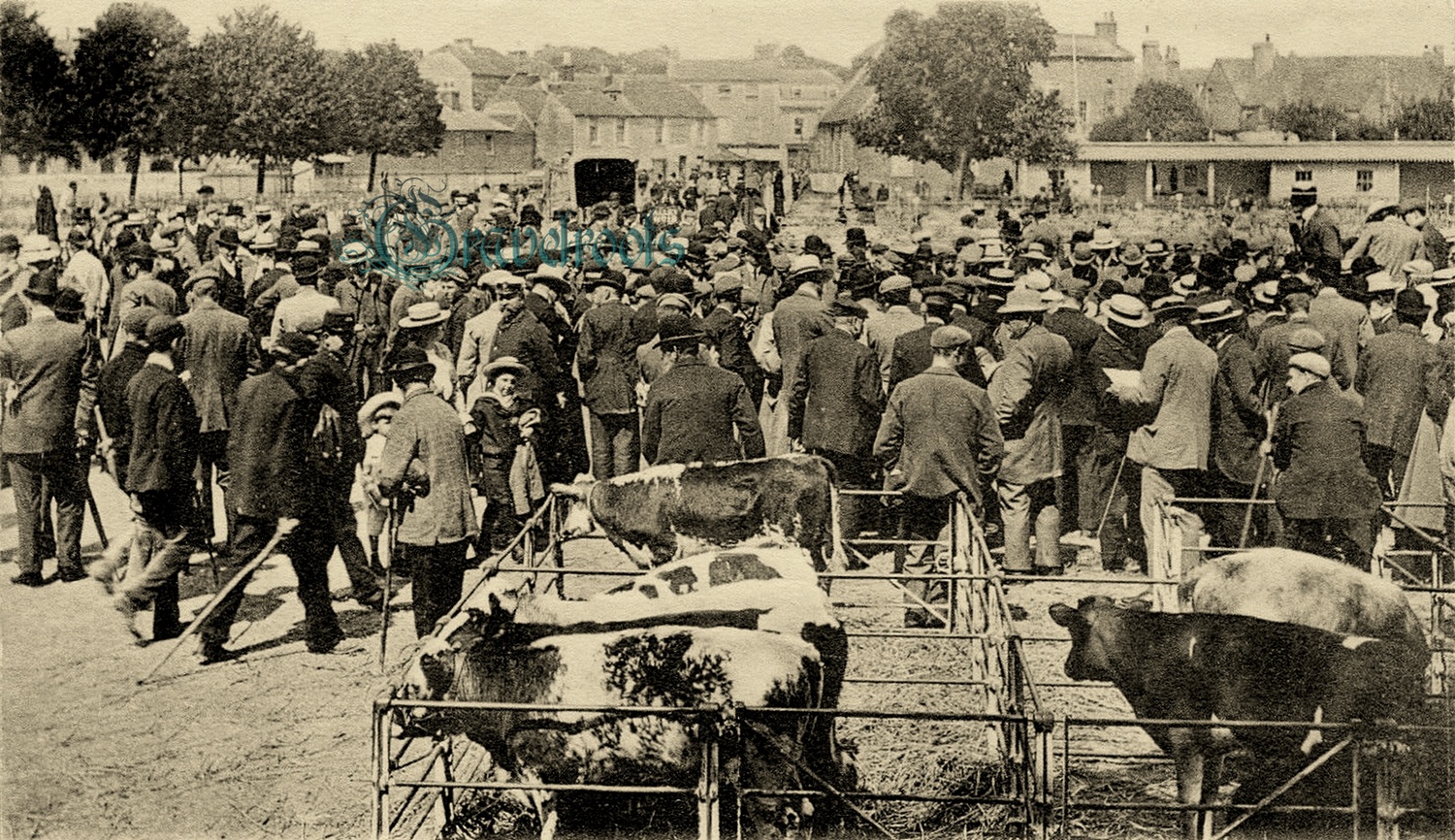  old photo of Chichester, Sussex - click image below to return