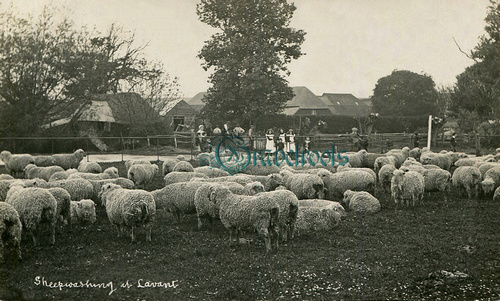 Lavant, Sheep washing