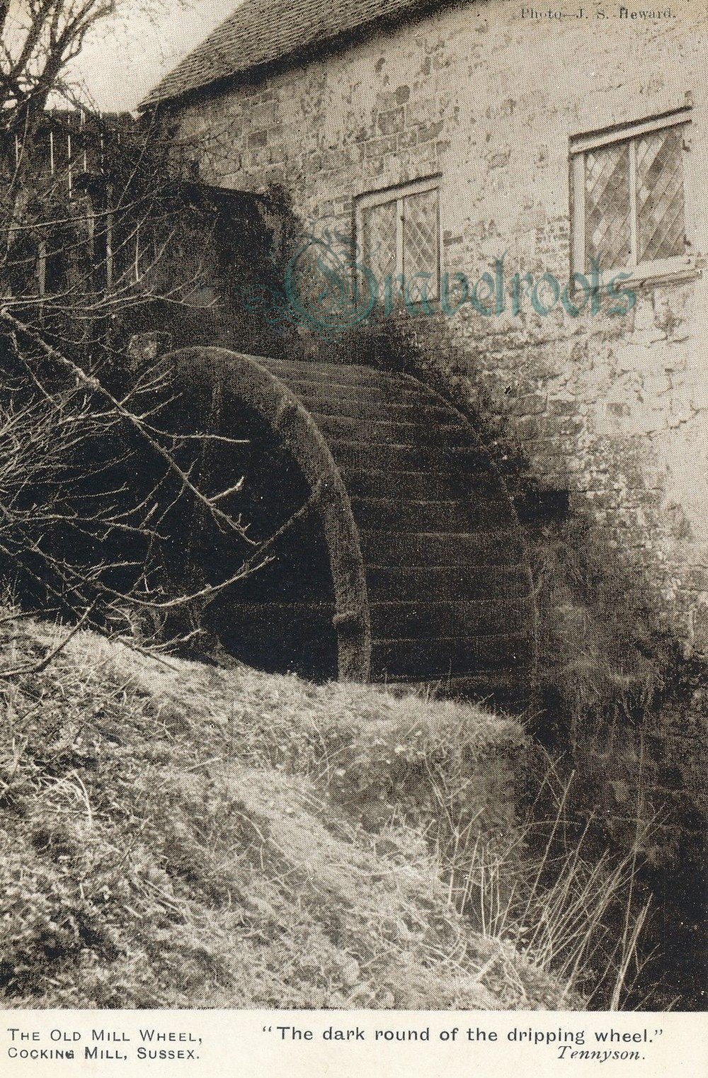 Old Cocking Mill, Sussex - click image below to return