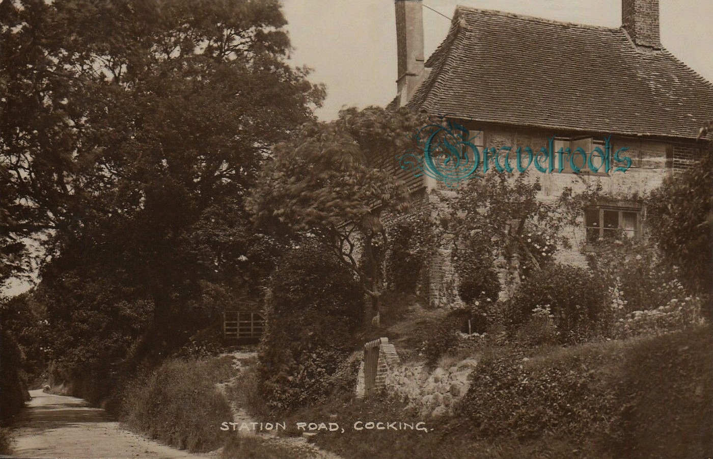 Bell Lane, Old Cocking Village, Sussex - click image below to return