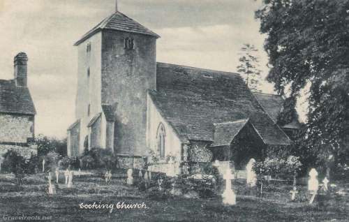 Cocking