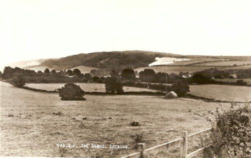 Downs Cocking