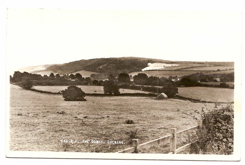 Cocking, Sussex - click image to return