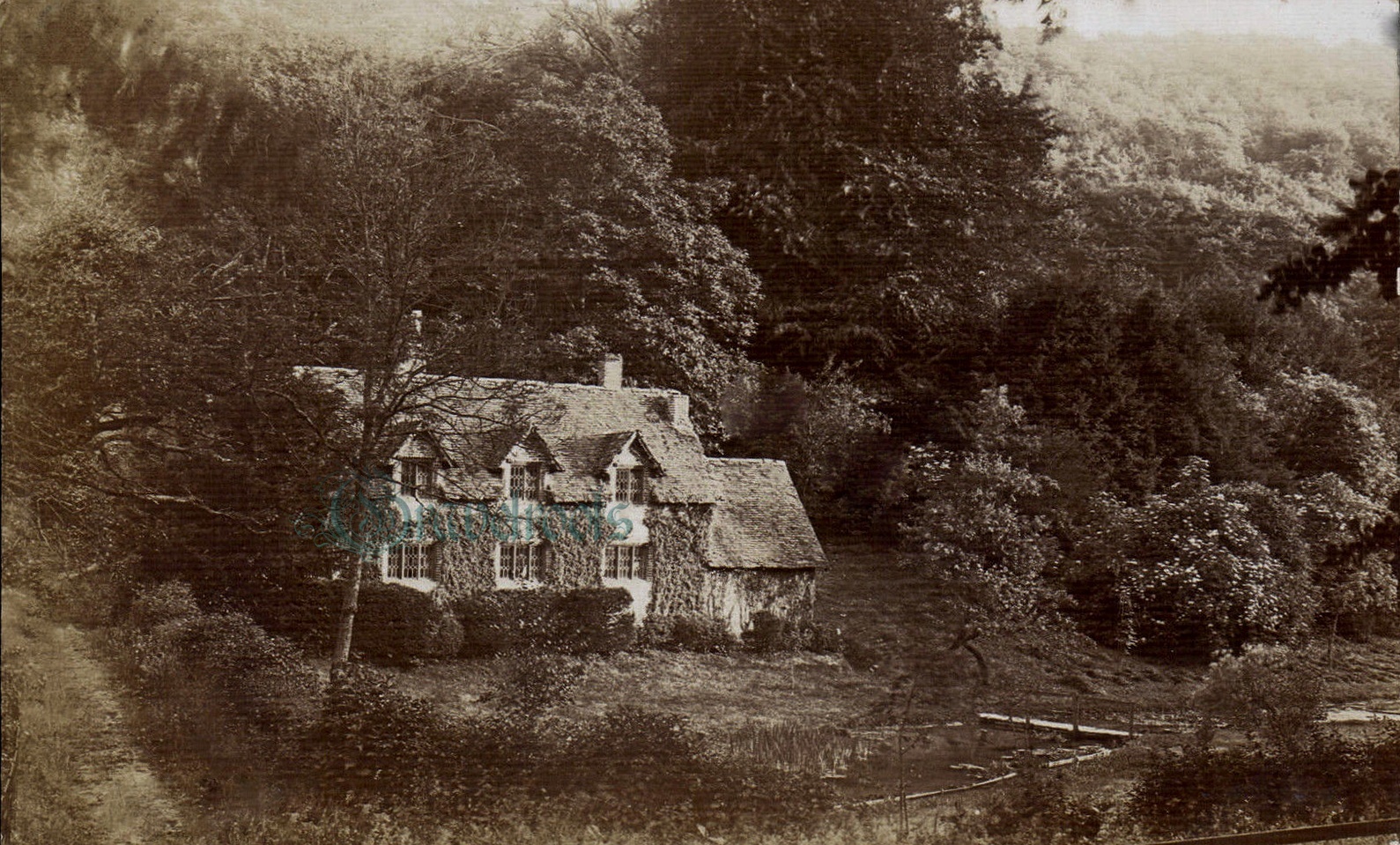 Duncton - click image to return