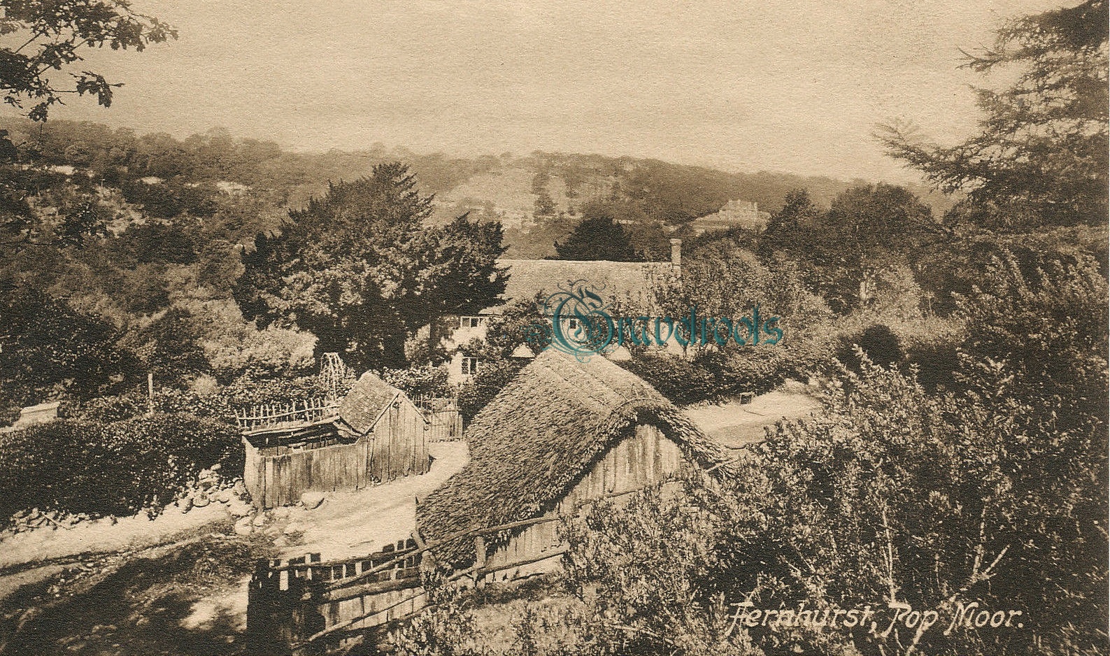 see further image below