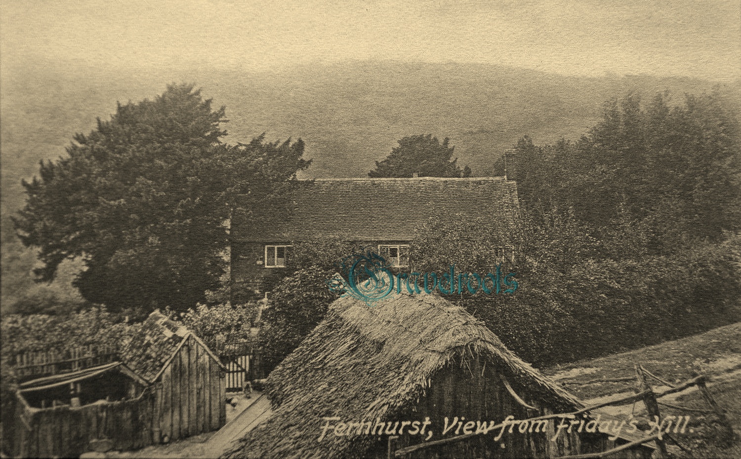 click image to return