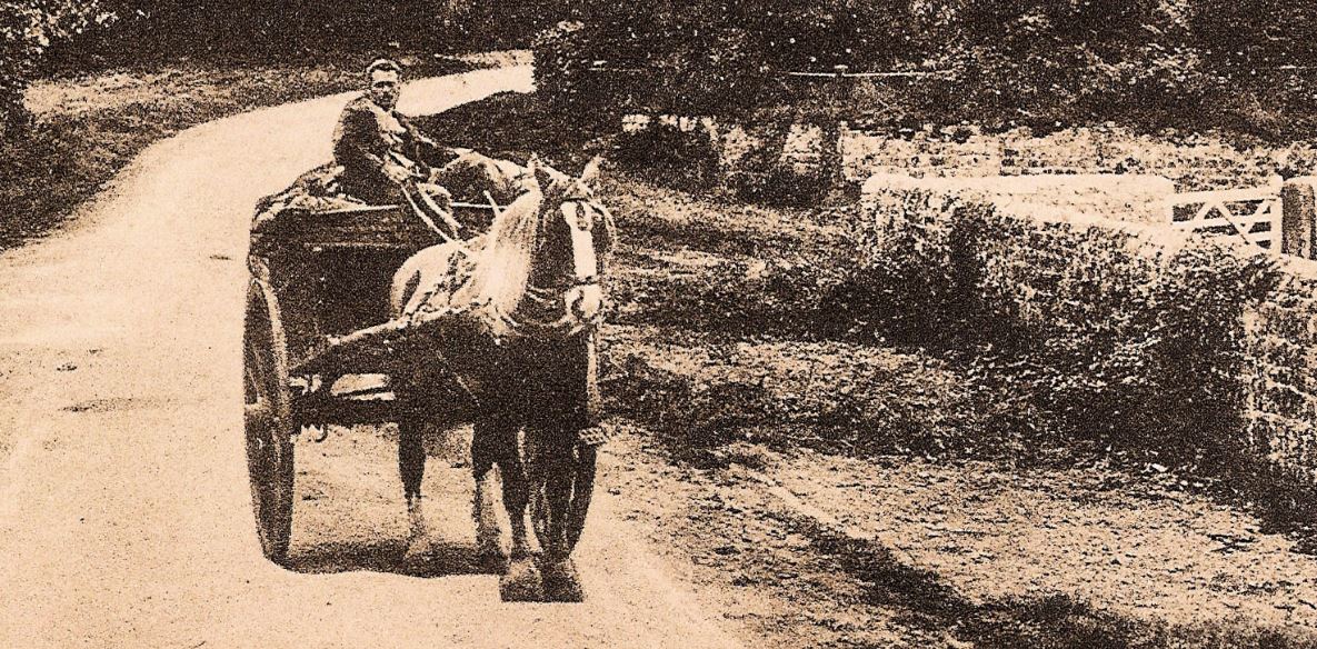 Fernhurst, Sussex - click to return