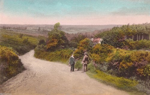 Fernhurst