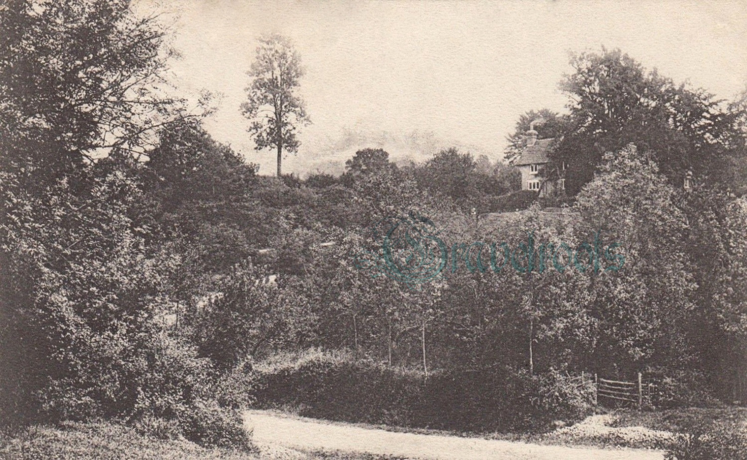 Ropes Lane, Fernhurst, Sussex - click image below to return