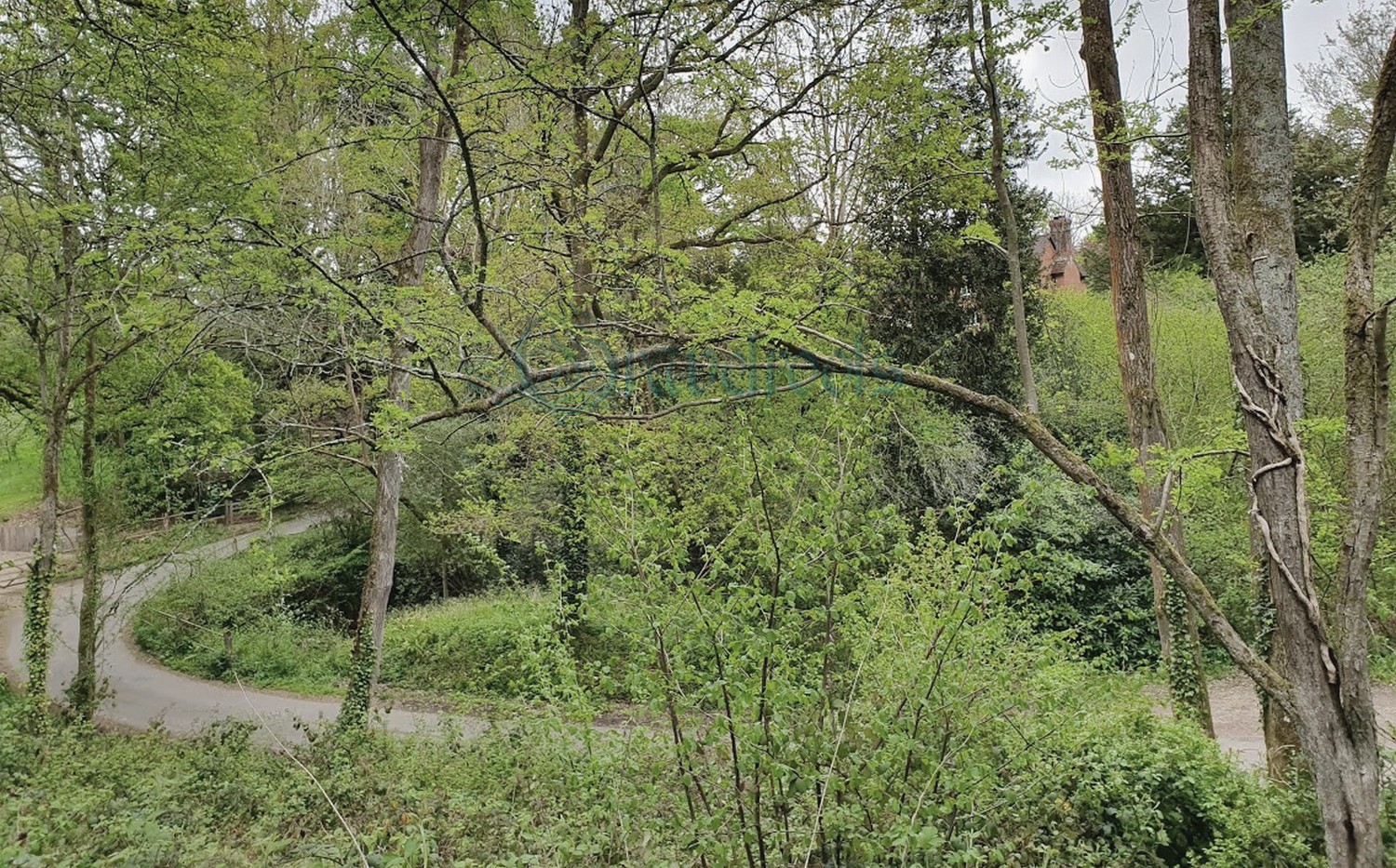 Ropes Lane, Fernhurst, Sussex - click to return