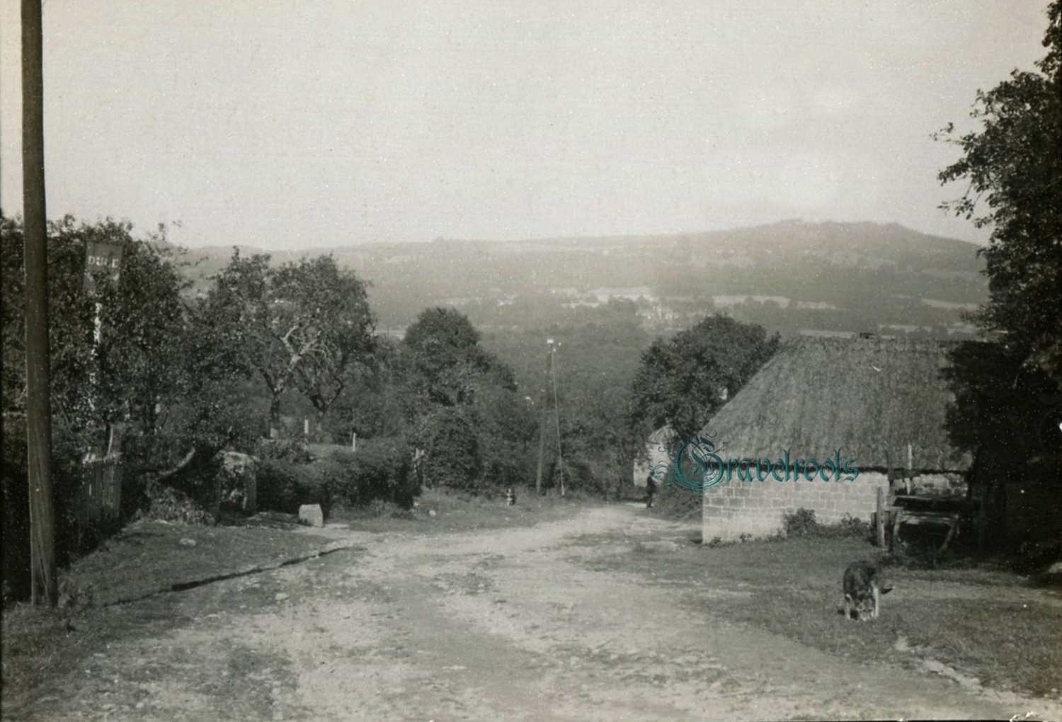  old photo of Henley near Fernhurst, Sussex - click image to return