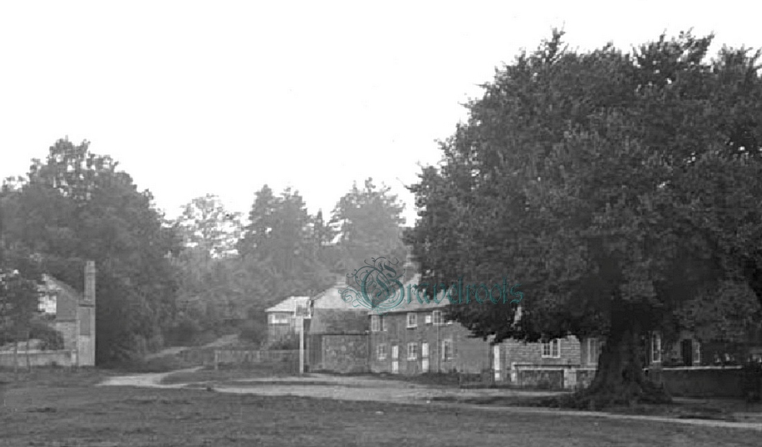  old photo of The Green & Red Lion, Fernhurst, Sussex - click image to return