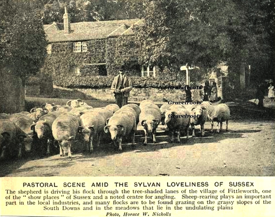 Fittleworth, click image to return