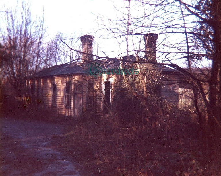 Fittleworth Station, click image to return