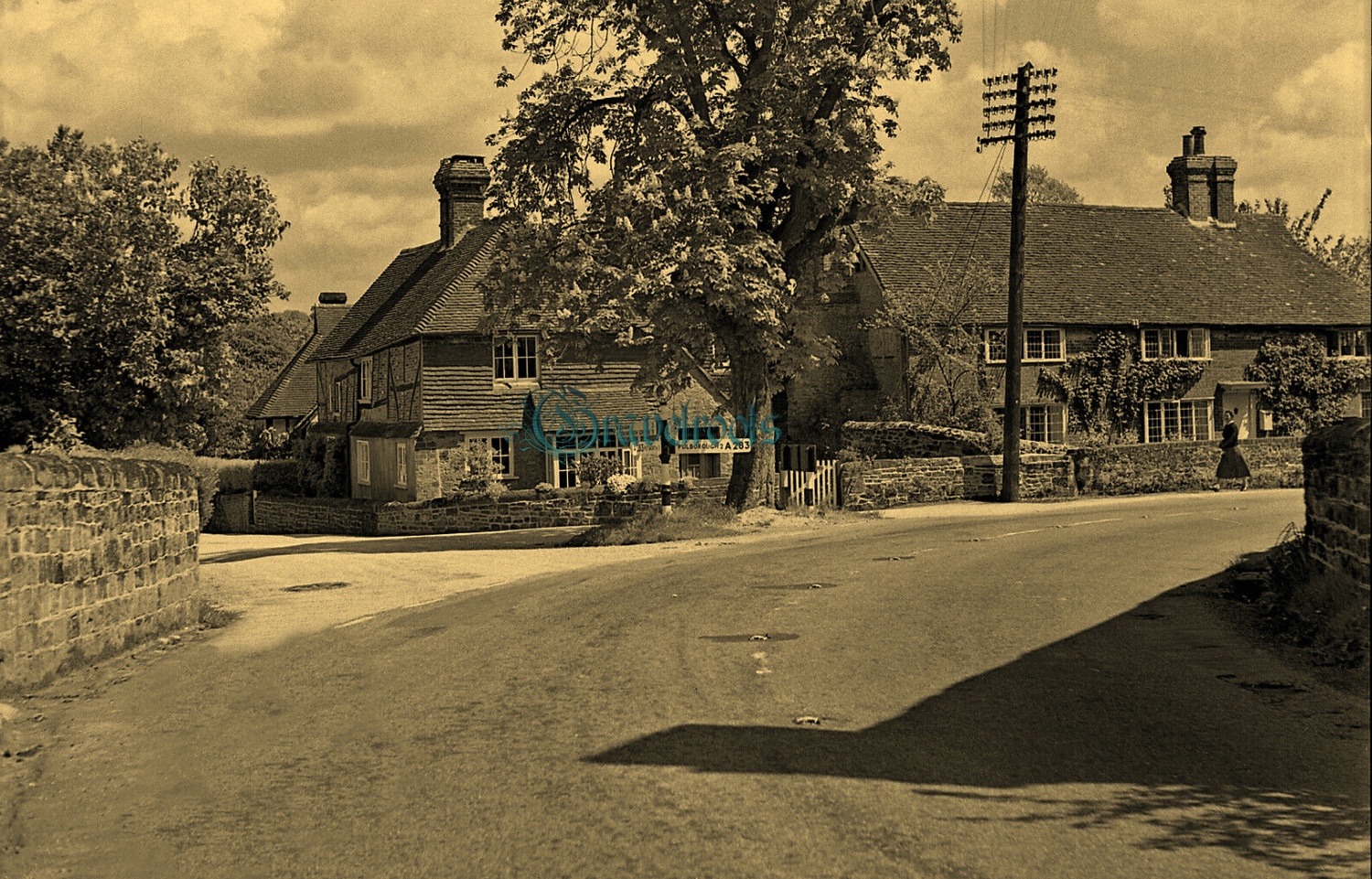  old photo of Bedham Lane, Fittleworth, Sussex - click image below to return