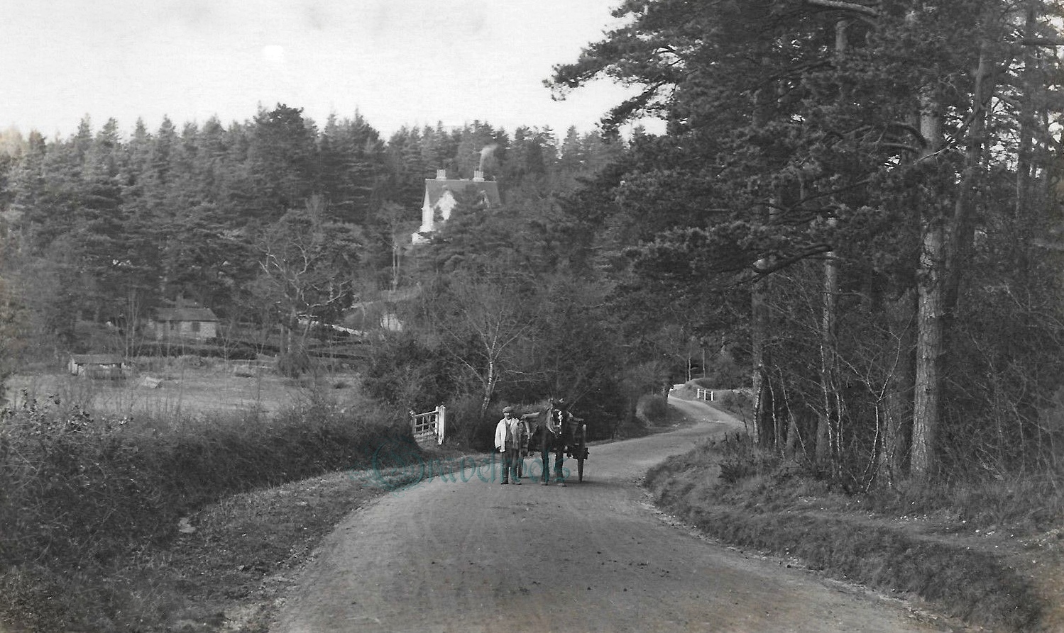 Old Graffham,  -  - click image to return