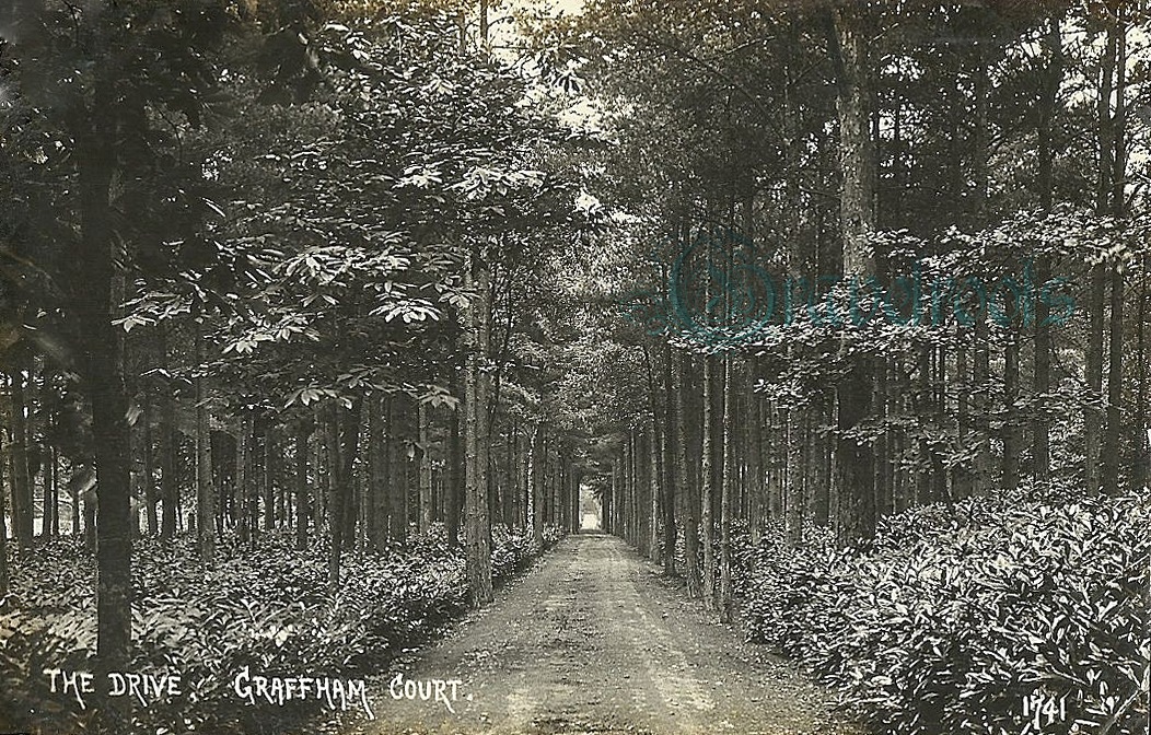 Graffham, click image to return