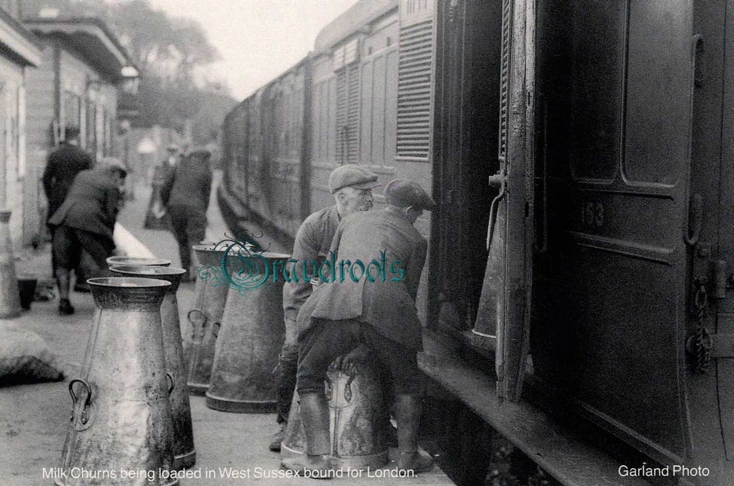  old photo of Selham Station, near Graffham, Sussex - click image to return
