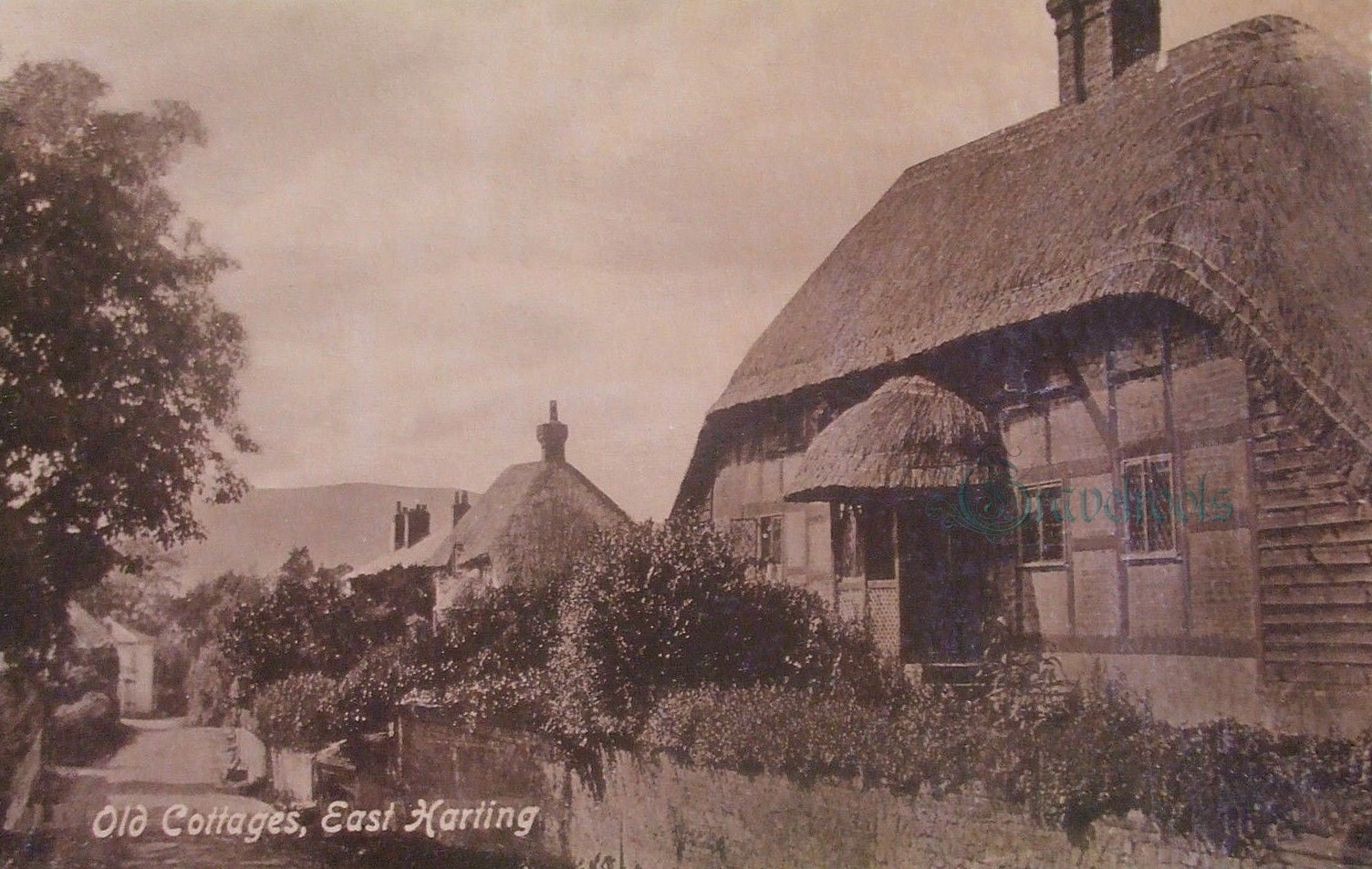 Harting, Sussex - click to return