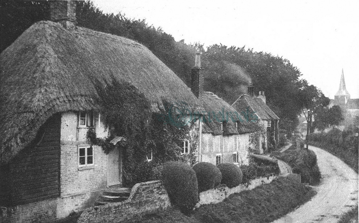 Harting, Sussex - further image below