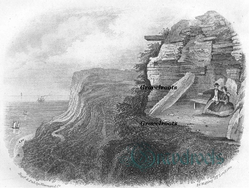 Fairlight, Hastings, Sussex - return to previous page