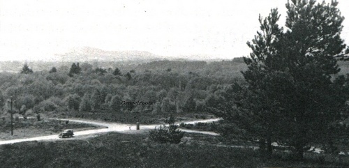Heyshott