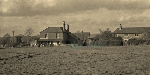 Heyshott