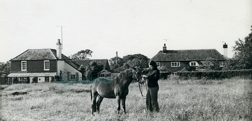 Heyshott