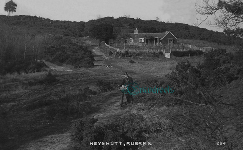 Heyshott