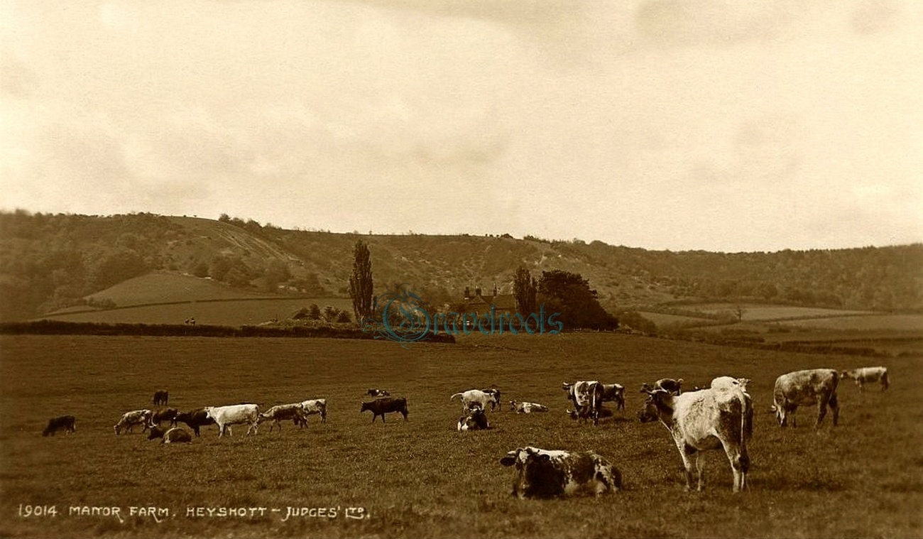  old photos of Manor Farm, Heyshott, Sussex - click image to return