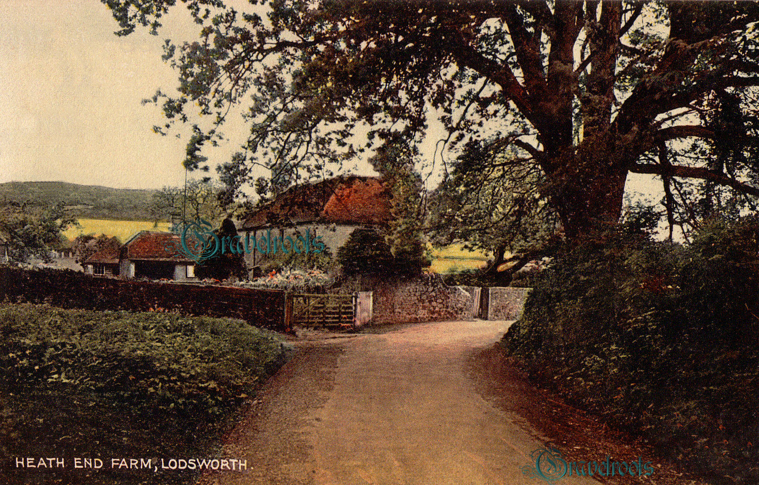  old photo of Heath End Farm, Lodsworth, Sussex - click image below to return