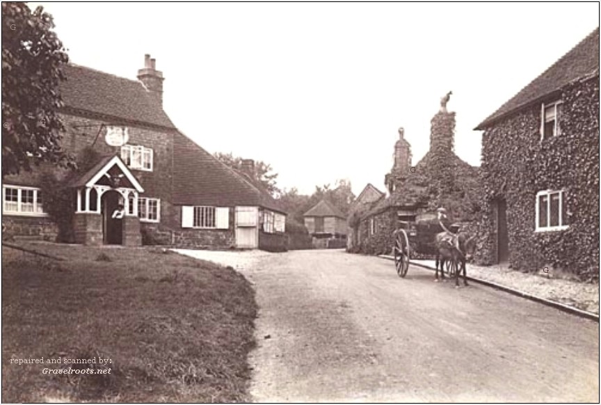 click image to return