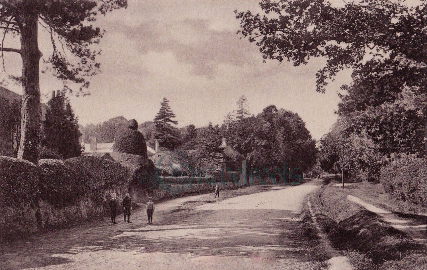  old photo of Petersfield Road, Midhurst, Sussex - click image below to return