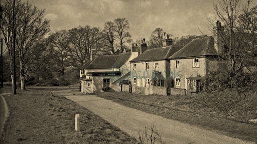 Petersfield Road