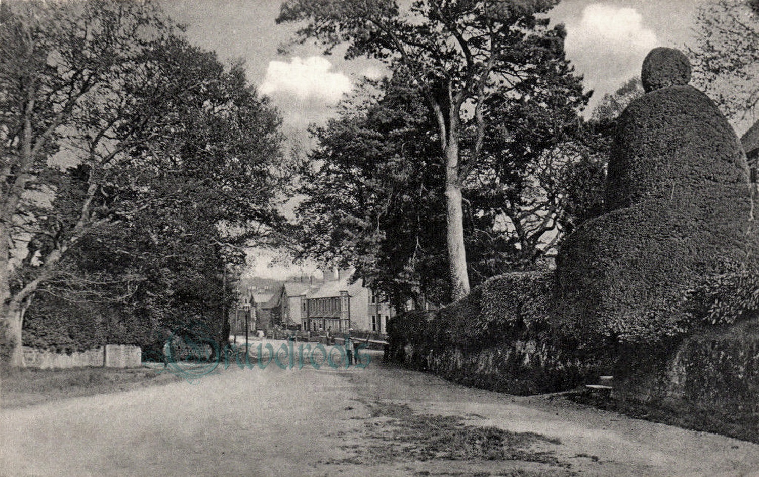  old photo of Petersfield Road, Midhurst, Sussex - click image below to return