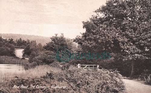 Shamrock Pub, Midhurst