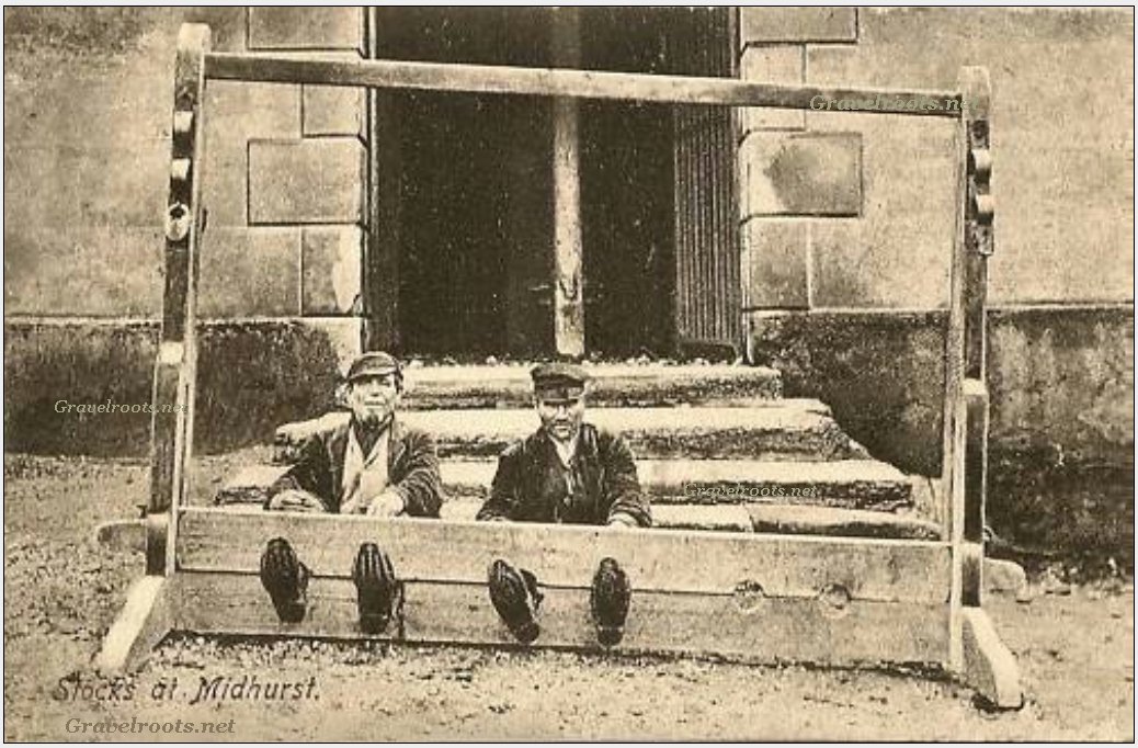 click image to return