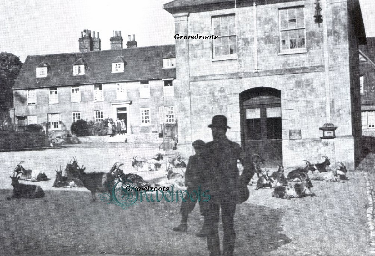 Market Square, Midhurst, Sussex - click to return