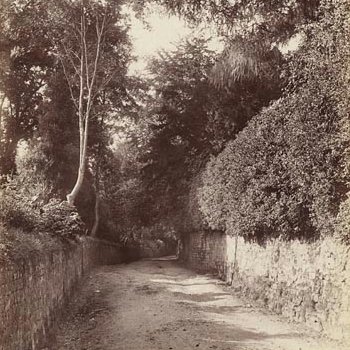 June Lane, Midhurst