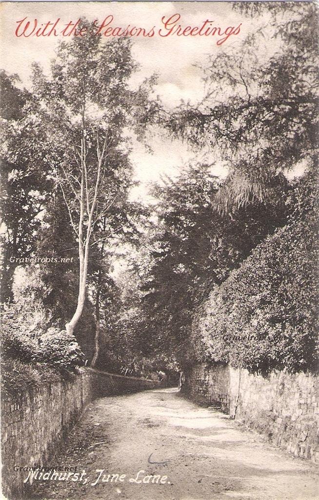 click for next image