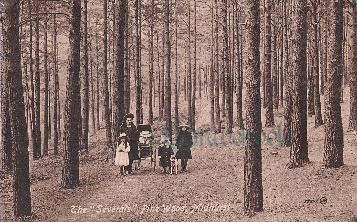 click image to return