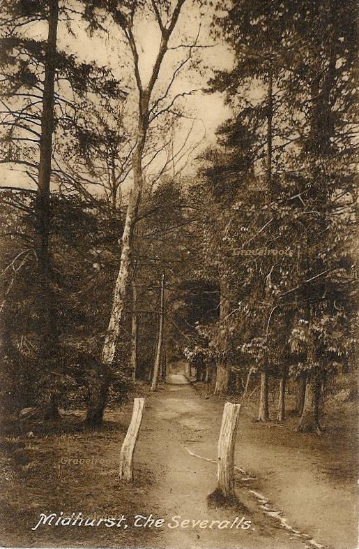 click image to return