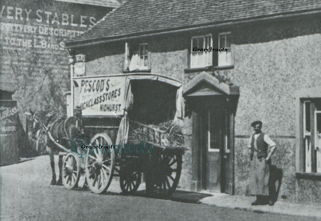 Omnibus and Horses pub, Midhurst, Sussex ref- m674
 - further image below