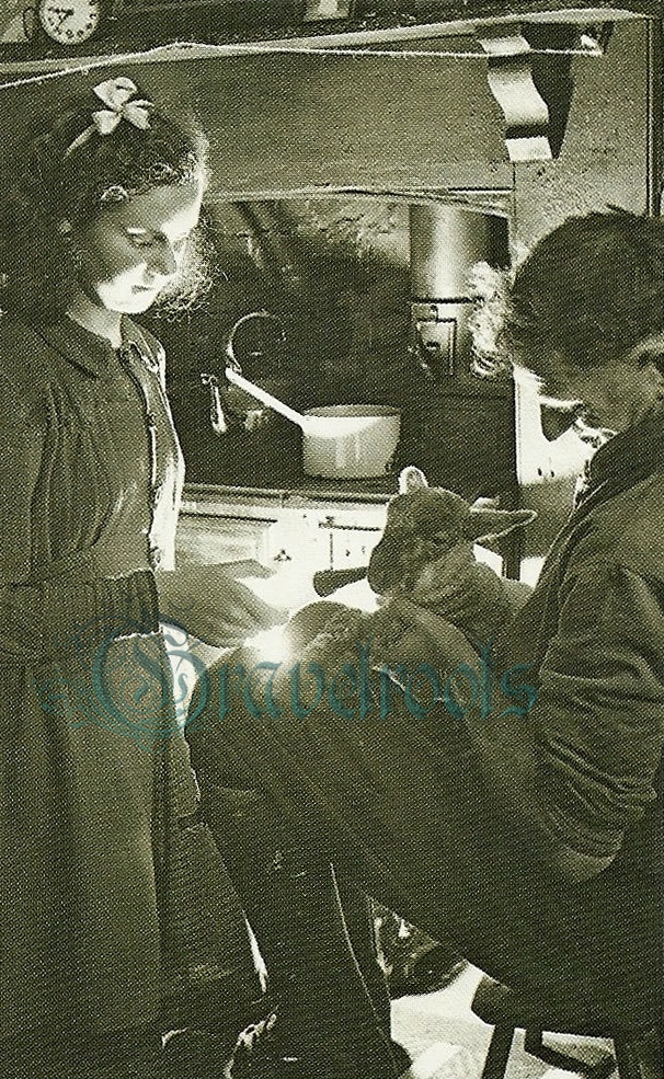 Shepherd Frank Coppard & his daughter feeding young lamb, 1941, Midhurst, Sussex - click to return